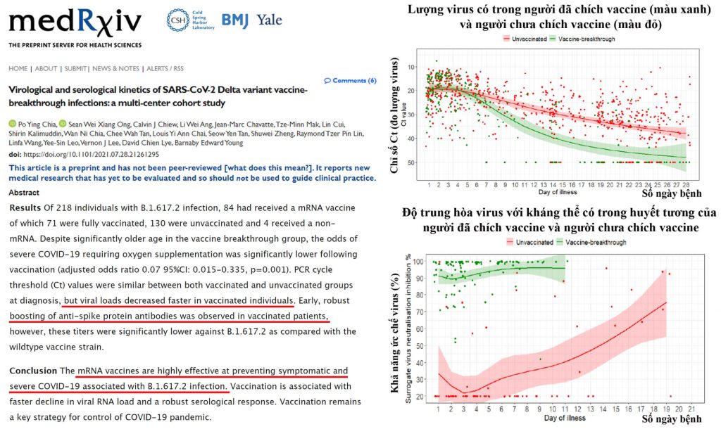 Biến chủng Delta bị tiêu diệt nhanh hơn trong cơ thể người đã chích vaccine covid-19