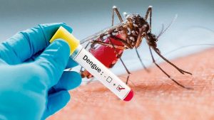Năm điều nên biết về sốt xuất huyết Dengue
