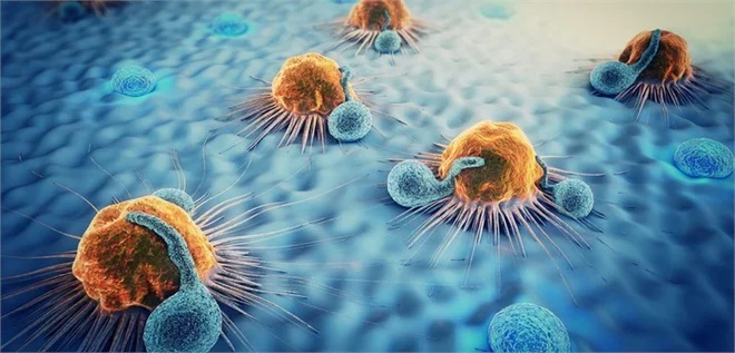 Liệu pháp miễn dịch giúp chống lại tế bào ung thư như thế nào?