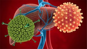 Adenovirus là "thủ phạm" gây bệnh viêm gan bí ẩn ở trẻ em?