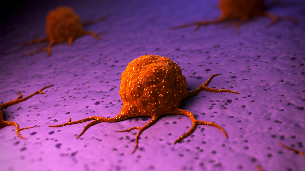 Tại sao ung thư lại có thể tấn công gần như mọi dạng sống đa bào trên Trái Đất?