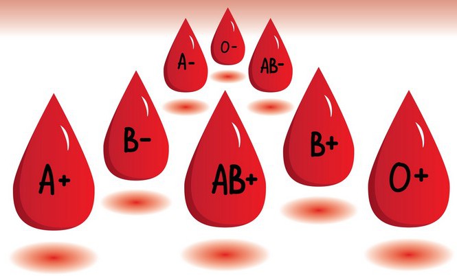 Bản chất của các mối liên hệ với nhóm máu